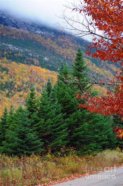 maine 57 Baxter State Park Loop Road Fall Foliage Photograph by Terri Winkler - Fine Art America