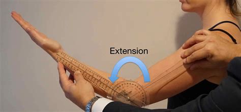 Did you know that the elbow joint is particularly at risk for stiffness? - Shoulder & Elbow