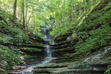 Hidden Springs - TennGreen Land Conservancy