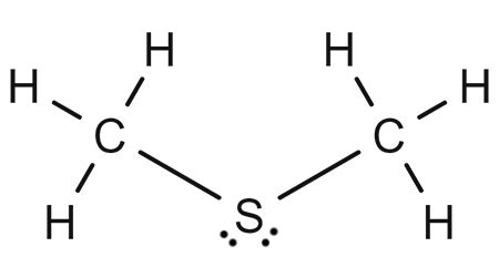 What is the molecular geometry of dimethyl sulfide? | Homework.Study.com