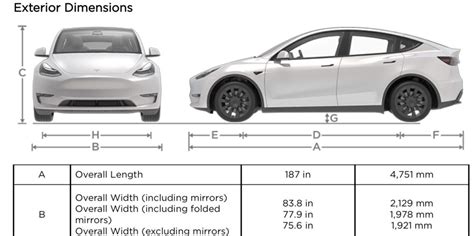 Tesla Model Y specs: We finally know how big it is - Electrek