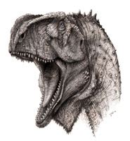 2008: Dinosaur discovery | News and features | University of Bristol