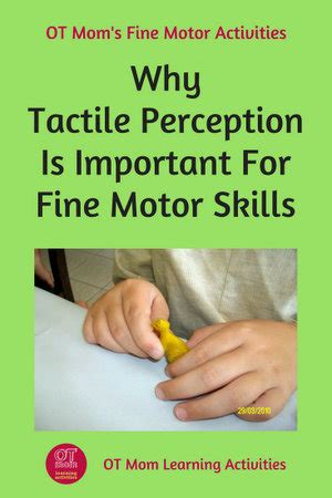 Tactile Perception and Fine Motor Skills