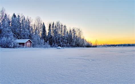 Winter Full HD Wallpaper and Background | 2560x1600 | ID:105695