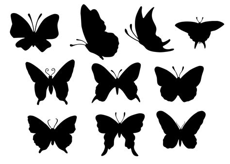 10 Butterfly Silhouette (PNG Transparent) | OnlyGFX.com