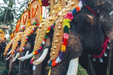 Thrissur Pooram 2024 | Date, Exhibition, Schedule | Holidify