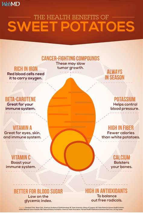 Infographic: The Health Benefits of Sweet Potatoes | Sweet potato benefits, Coconut health ...