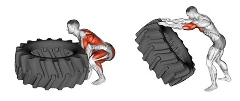 Tire Flip: Benefits, Muscles Worked, and More - Inspire US