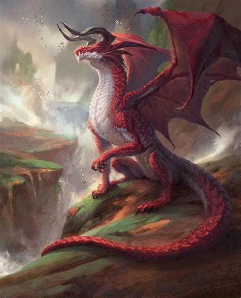 (3) Twitter | Dragon art, Legendary dragons, Dragon pictures