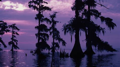 Bayou Sunset Wallpapers - 4k, HD Bayou Sunset Backgrounds on WallpaperBat