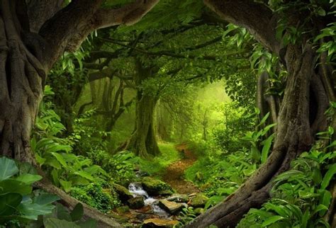 Photography Backdrop 7x5ft Forest Stream Road Green Trees Grass Nature Landscape Children Baby ...