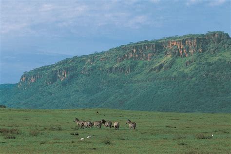 Lake Nakuru National Park; Wildlife Galore – Safari254