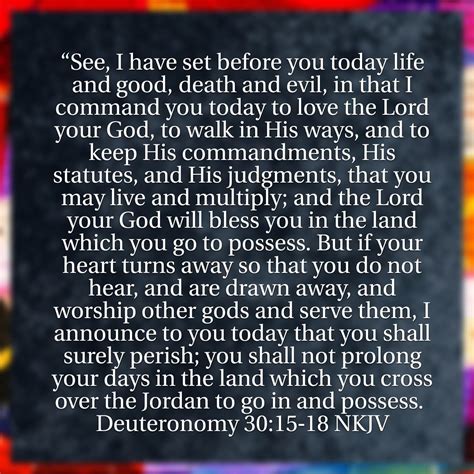 Deuteronomy 30:15-18 Scripture Verses, Bible Scriptures, Bible Quotes, Deuteronomy 30, Bible ...