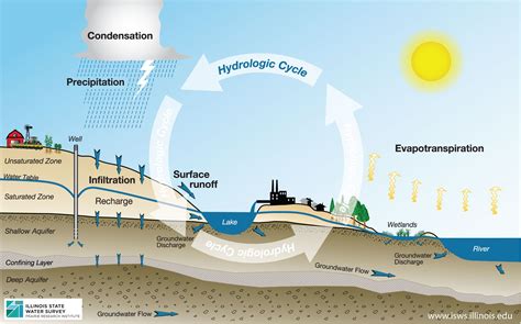 Resultado de imagen para hydrologic cycle | Water cycle diagram, Water ...