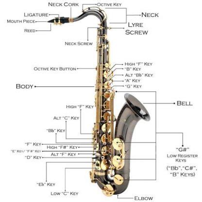 Saxophone Parts - Full Diagram And A Great Video Review