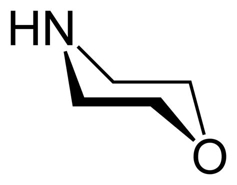 Morpholine - Amine Catalysts