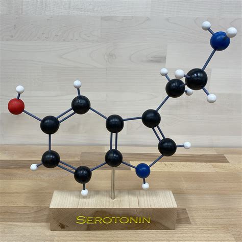 Wooden Serotonin Molecule Model - Molecule Models