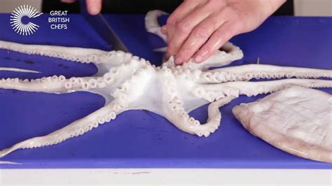 How to section an octopus - YouTube