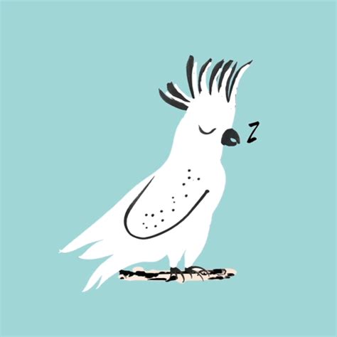 Good morning sleepy cockatoo GIF on GIFER - by Felolore