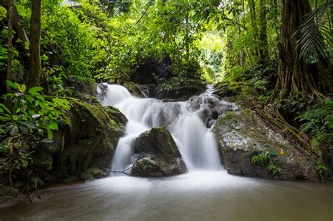 Jungle Trekking in Thailand's Kanchanaburi Province