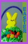 Easter Cupcakes #2 Free Stock Photo - Public Domain Pictures