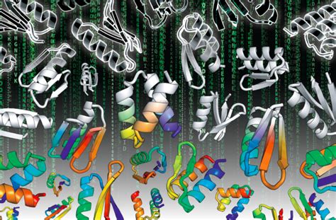 The Matrix of Protein Design – Institute for Protein Design