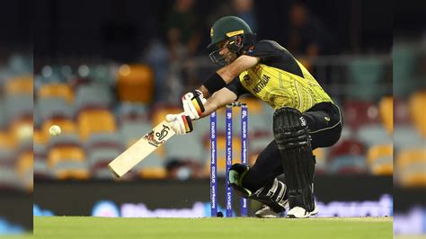 T20 World Cup, Australia vs Afghanistan: Glenn Maxwell Keeps Defending ...