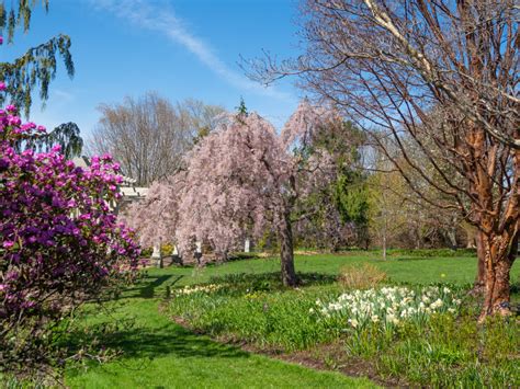 Springtime visit to Tower Hill Botanic Garden | My Strange Life