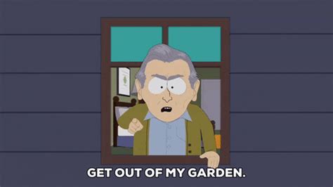 Get Off My Lawn GIF by South Park - Find & Share on GIPHY