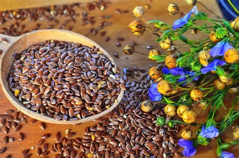 Organic Linseed Seeds - Linum Usitatissimum Stock Photo - Image of closeup, flaxseed: 156814310