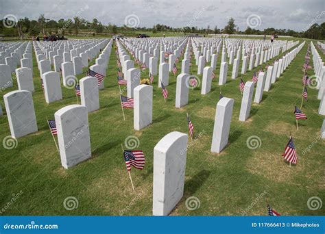 Cape Canaveral National Cemetery Editorial Stock Photo - Image of outdoors, american: 117666413