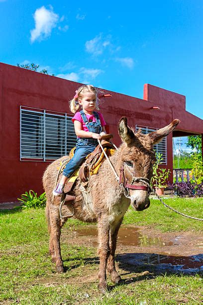 Best Donkey Riding Stock Photos, Pictures & Royalty-Free Images - iStock