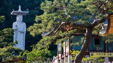 You Can Stay at Seven Korean Buddhist Temples and UNESCO Heritage Sites | TravelPulse