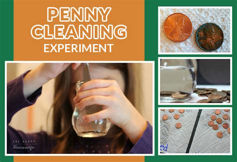 Penny Cleaning Experiment - The Happy Housewife™ :: Home Schooling