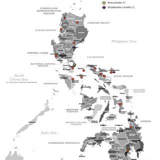 Philippine map showing the places of collection (in red dots) of | Download Scientific Diagram