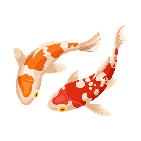 Koi Fish Illustration Vector, Koi Fish, Fish Pet, Fish Art PNG and Vector with Transparent ...