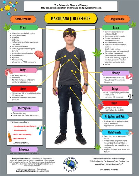 Marijuana Effects on the Body