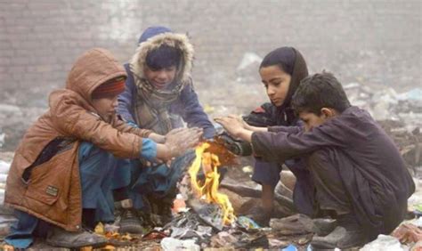 Peshawar Weather Update: KP's capital shivers under the grip of cold wave