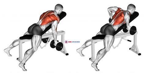 Dumbbell Reverse Grip Incline Bench Two Arm Row - Home Gym Review