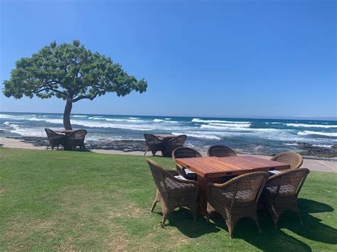 Hualalai Resort Beach Tree Photos