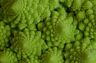 Fractals | Roman cauliflower (or Romanesco broccoli) | Ole Holmblad | Flickr