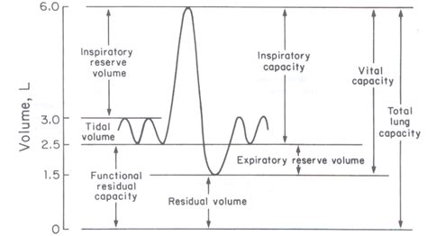 Spirometry -Spirogram-Pulmonary volumes and capacities-factors