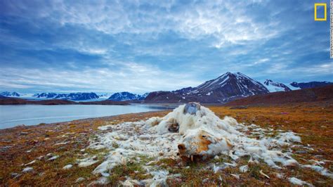 Breathtaking photos show effects of climate change