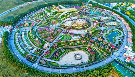 Dubai Miracle Garden: A Virtual Tour To World’s Largest Flower Garden