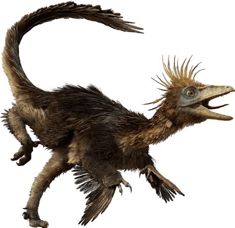 The Pendantic Paleogeek: Troodon