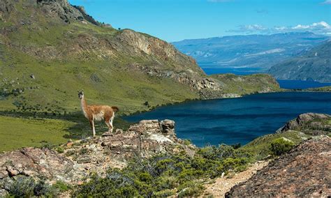 Chile Transforms 10 Million Acres of Protected Land Into National Parks