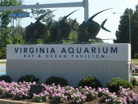 Merle's Whirls: VIRGINIA BEACH: AQUARIUM