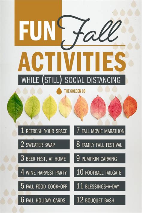 Fall Activities for Adults | Fun fall activities, Autumn activities ...