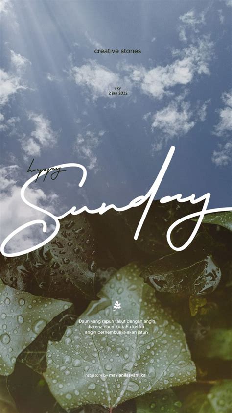 a book cover with water drops on it and the words for sandy written in white