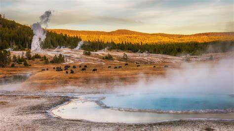 What Yellowstone's Phased Reopening Means for Summer Travel | Condé ...